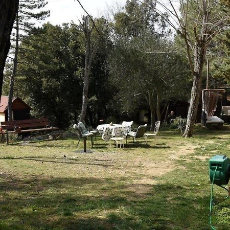 Mdq - Azienda Agricola Leilighet Castiglione dʼOrcia Eksteriør bilde
