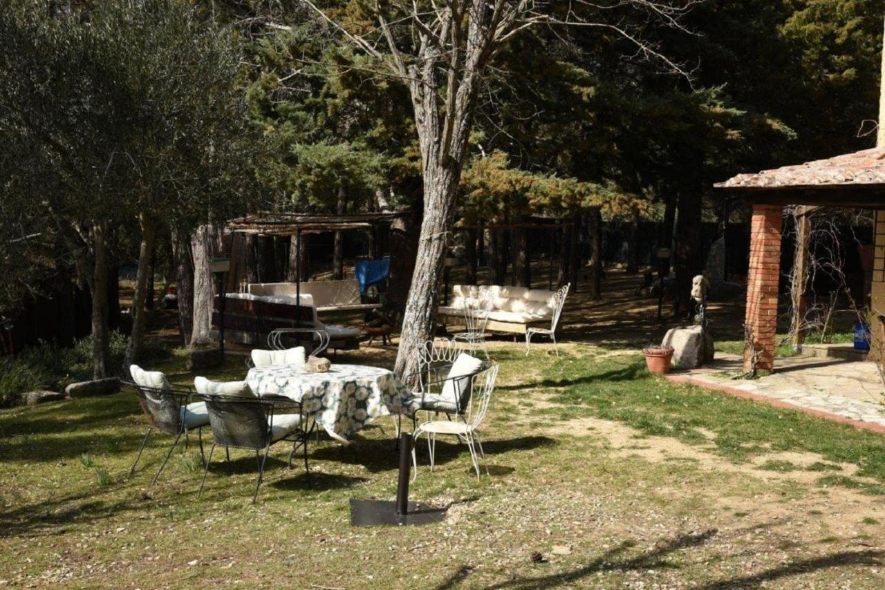 Mdq - Azienda Agricola Leilighet Castiglione dʼOrcia Eksteriør bilde