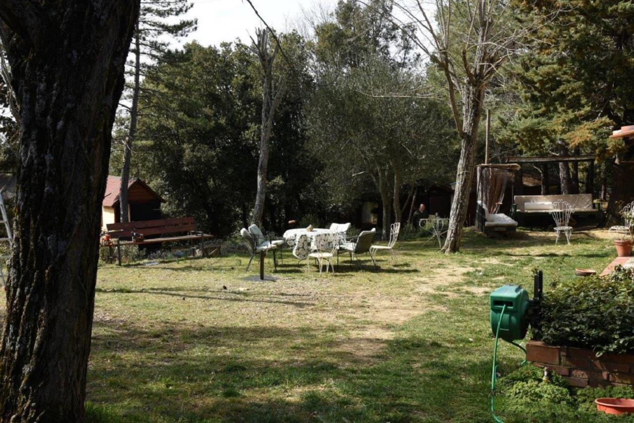 Mdq - Azienda Agricola Leilighet Castiglione dʼOrcia Eksteriør bilde